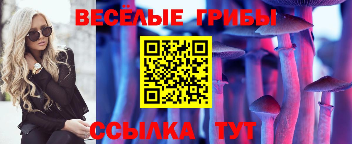 Боровичи  хочу наркоту  Вход с VPN  Галлюциногенные грибы прущие грибы 